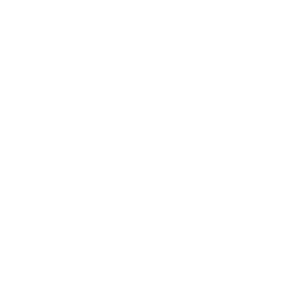 Proyecto nuevo (12)